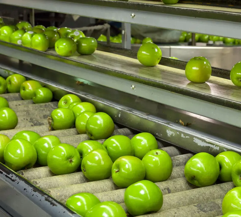 food industry conveyor