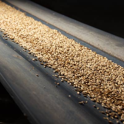 salt conveyor